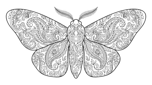 Intricate Paisley Patterned Moth Line Art for Adult Coloring Book