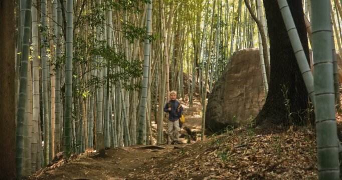 Happy little boy with backpack walking down dirt path in Japanese bamboo grove - wide, steady cam shot backwards