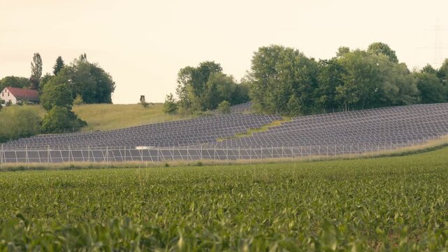 Innovative agrivoltaics system with solar panels and crops growing together. Sustainable agriculture meets renewable energy production
