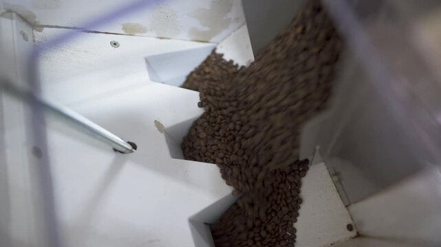 chilean coffee beans roasting cafe espresso specialty barista morning brew