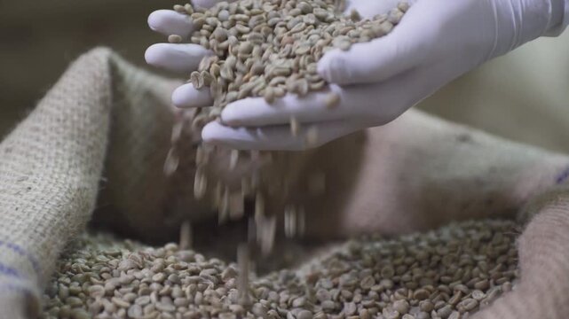 chilean coffee beans roasting cafe espresso specialty barista morning brew