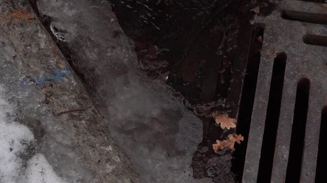 Close-up shot of a cast-iron storm drain grate covered with thin layers of ice and scattered brown autumn leaves, highlighting the transition between winter freezing conditions and surface debris.
