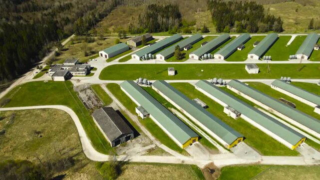 Aerial drone view of a modern poultry farm with long barns for raising chickens. Showcasing the industrial scale of agricultural food production and livestock farming in a rural countryside landscape