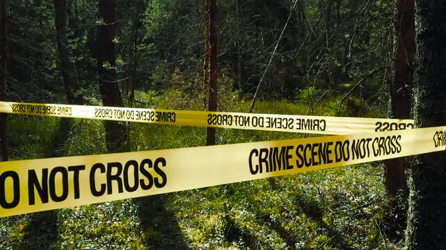 Yellow police tape with the text Crime Scene Do Not Cross is stretched between trees in a dense forest, cordoning off an area for an ongoing police investigation on a sunny day