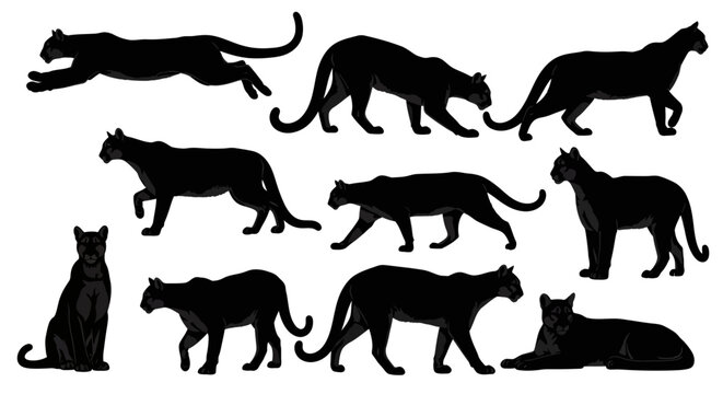 Black silhouettes of various panther poses are walking and sitting on white.