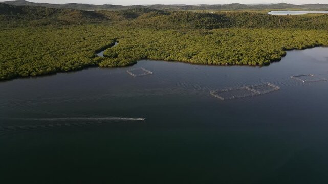 Aerial view of a lush mangrove forest bordering calm waters with fish farm cages and a small boat leaving a wake in Riau Islands, Indonesia.