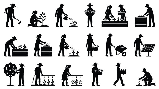 Gardeners working in garden, farming and harvesting, isolated vector silhouettes of people.