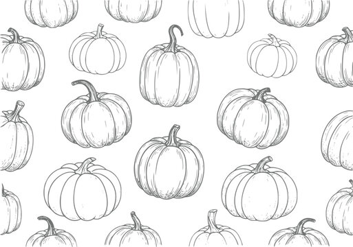 A seamless pattern featuring hand-drawn style pumpkins on a white background