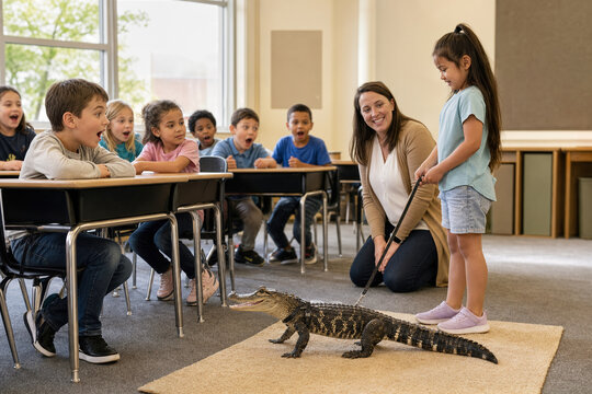 Elementary show-and-tell with a child presenting a small alligator as an absurd classroom pet.