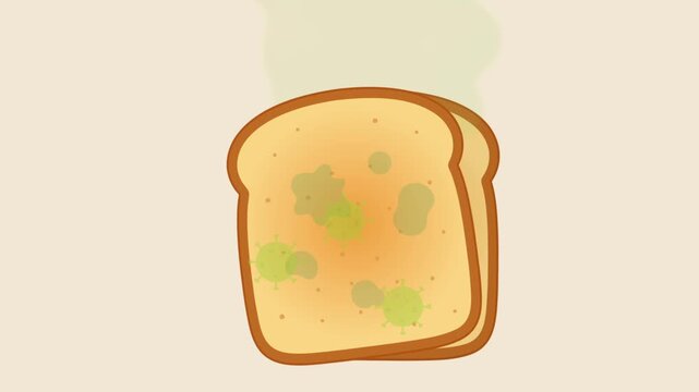 food spoil process with mold and bacteria grow on bread