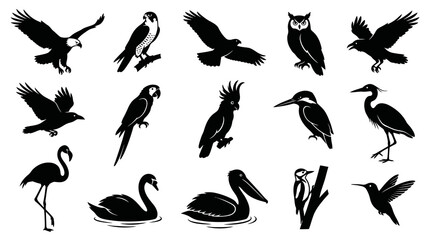 Obraz premium Diverse Black White Bird Silhouettes Icon Set - Nature Wildlife Vector Glyphs Collection