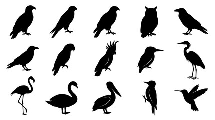 Obraz premium Wildlife Bird Silhouettes Vector Icons Set. Diverse Avian Species Collection in Glyph Style.
