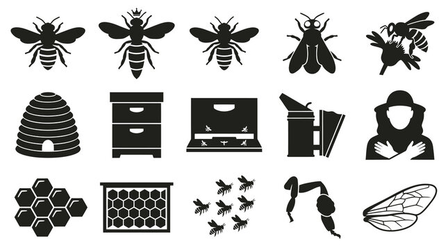 Bee Vector Icons Set: Beekeeping, Honey, Insects, Equipment, Hive, Wings, Glyph
