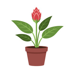 Fototapeta premium Potted Plant with Green Leaves Flower.