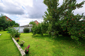 Obraz premium spacious backyard garden with large apple tree laden with red fruit, neat lawn, flower pots along concrete border, neighboring houses under partly cloudy sky