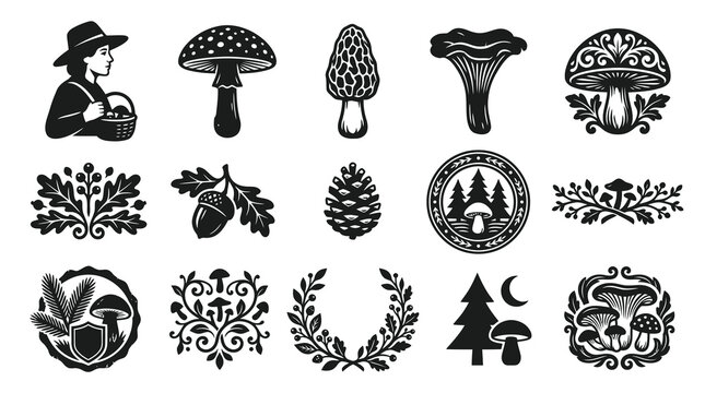 Outdoor  Forest Glyph Vector Illustrations: Mushrooms, Acorns, Pine Cones, Woodland Foraging Designs