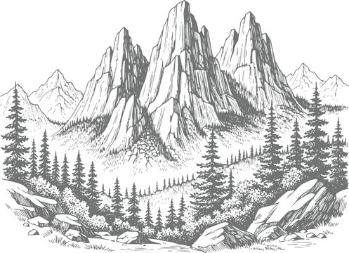 A detailed black and white ink of a mountain range surrounded by a dense pine forest, featuring rugged peaks, rocky terrain, and evergreen trees in a classic vintage style