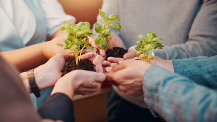 People, plants and hands for business growth with sustainability, development and startup. Sapling,...