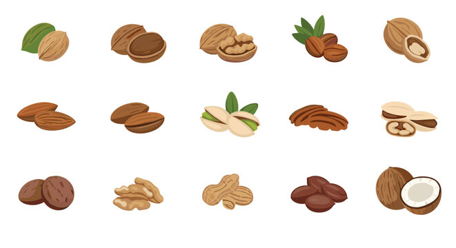 Assortment of healthy nut varieties including walnuts almonds pistachios pecans peanuts and a halved coconut on white background.