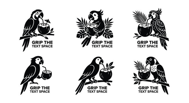Parrot drinking coconut water vector set illustration