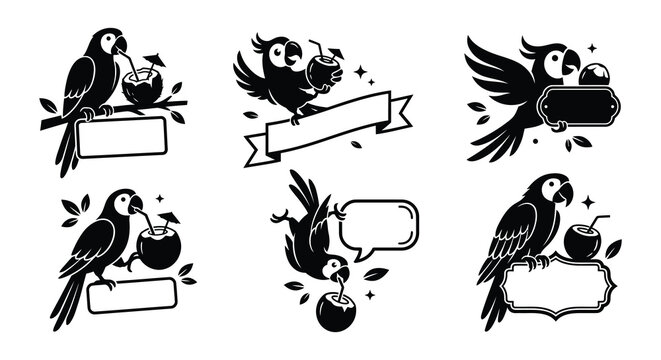 Parrot drinking coconut water vector set illustration
