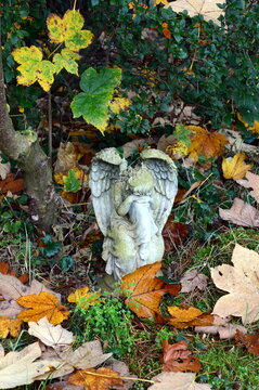 Cemetery in Autumn in the Village Benzen, Lower Saxony