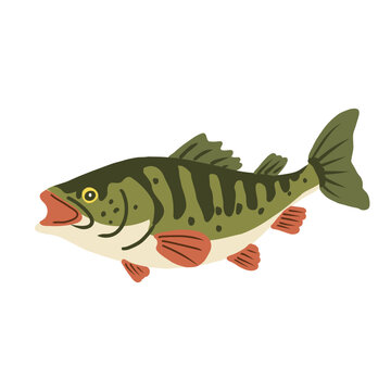Hand drawn vector illustration of a fish. isolated on white background. Illustration for sport fishing design and outdoor activities.