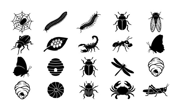 Black insect icons set, 20 bug silhouettes including spider, butterfly, and beetle, minimalist nature vector elements for biology education