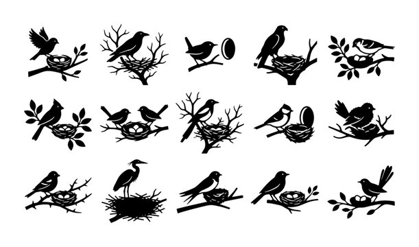 Vintage bird nest silhouette collection, 15 black vector icons of wild birds on tree branches, rustic nature wildlife illustrations for logo design