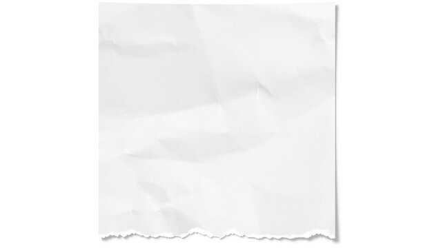 Torn Paper edge ripped, paper edge strip PNG on Transparent background