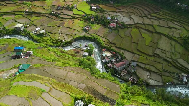 Aerial top down parallax shot above Hapao rice terraces showing winding river cutting through irregular paddies and village houses in Ifugao Philippines