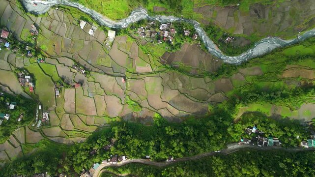 Aerial top down sideways shot above Hapao rice terraces showing irregular paddy patterns winding river and village houses in Ifugao Philippines