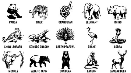 Fototapeta premium Black and white vector illustration of various wild animals collection