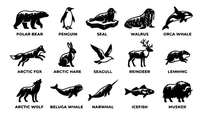 Black and white vector illustration of Arctic wildlife and animals