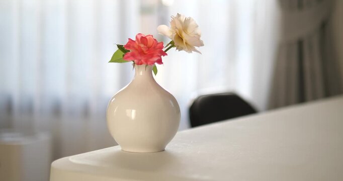 Cinematic medium shot of a white ceramic vase with fresh roses on a minimalist white desk by a sunlit window