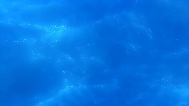 Underwater Abstract Enviroment with Glowing Bubbles, Cinematic 24fps Looping Animation, Ready to Use as a Background or Overlay Footage.