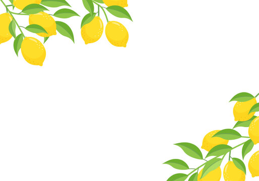 シトラス Images – Browse 4,872 Stock Photos, Vectors, and Video
