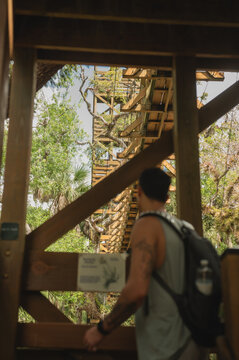 Hiker views wooden canopy walkway at Myakka River State Park