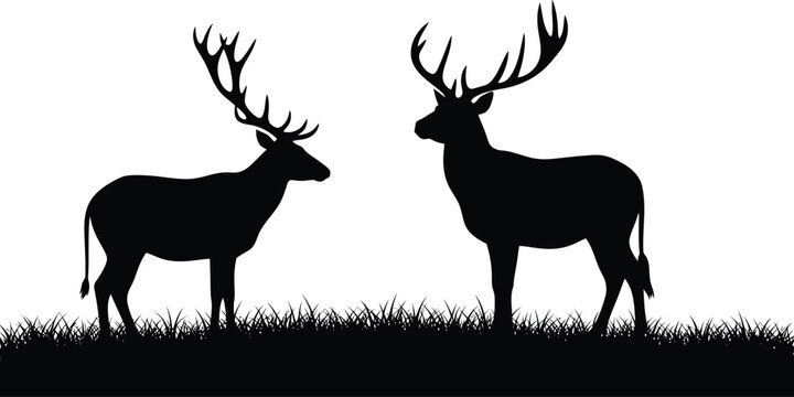 Deer Silhouettes Standing on Grass Isolated on White