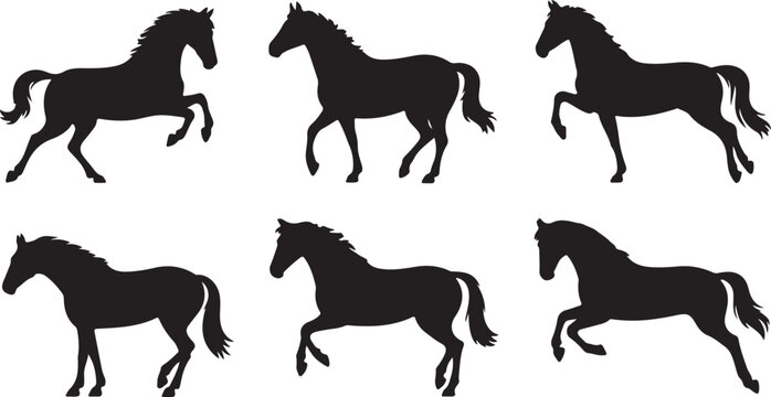 Set of horse silhouettes in different poses