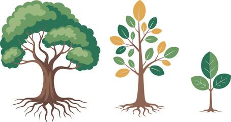 Tree and leaf illustrations isolated vector set representing natural growth, biodiversity, green living and environmental conservation for organic branding and sustainability projects. © Dalim 4