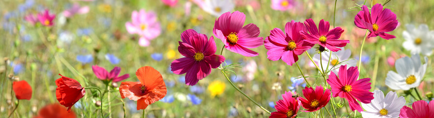 Garten 1535 © K.-U. Häßler