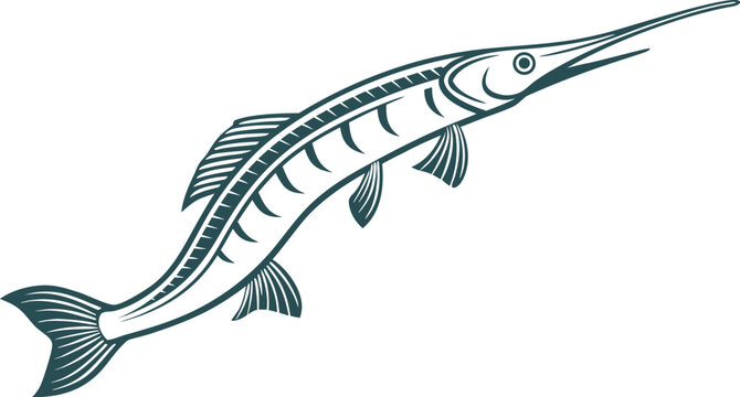 Large fish with long snout and sharp teeth swimming fast  aquatic animal