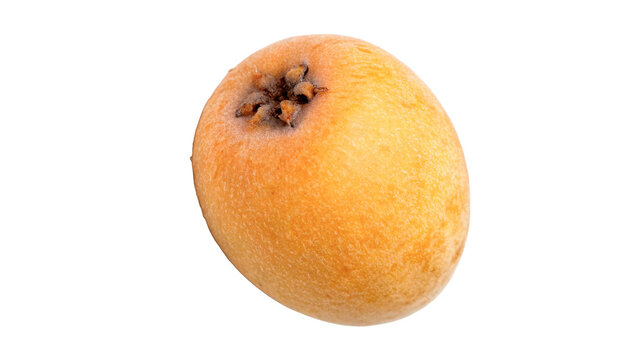 Fresh single whole yellow loquat medlar fruit exotic healthy food on transparent background