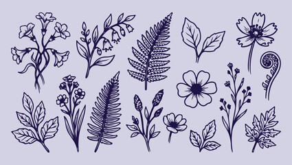Lush fern plant collection, detailed leaf fronds illustrations, assortment of foliage sketches, clean line art vector, minimal monoline design, modern premium graphic assets, isolated botanical elemen © Geetaroy