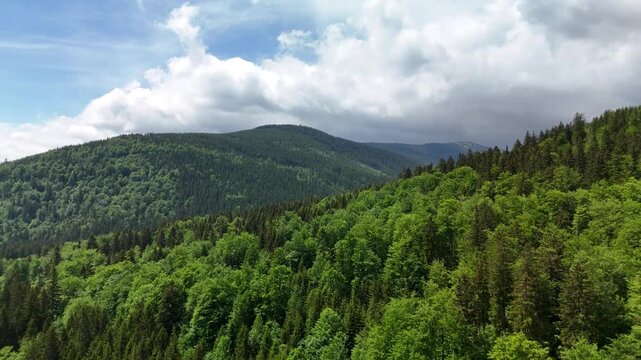 Aerial view of green forest and mountain range under clear blue sky in Poland