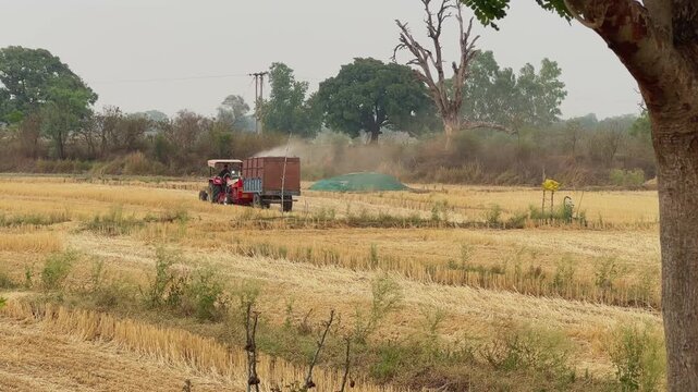 Wide rural agricultural view of a tractor operating a threshing machine in harvested wheat fields while dust rises around stored straw and dry farmland under daylight sky