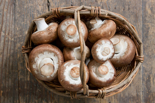 Basket of Agaricus mushroom
