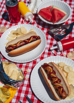 Grilled hot dogs, watermelon and chips at a summer picnic.