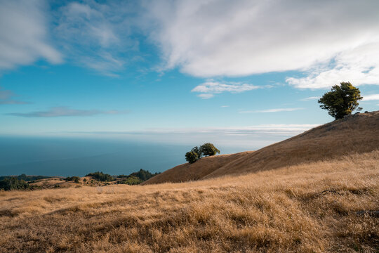 Mt Tam Panoramic Coastal View